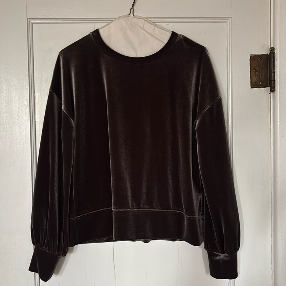 Madewell velour sweatshirt